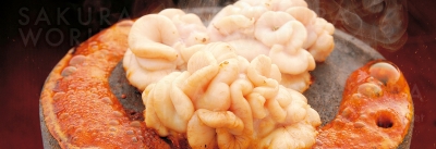江戸YA