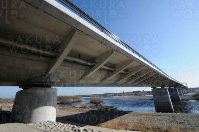 橋梁に丸みを持たせ、歩道と車道の境にはフィンバック（魚の背）という波のようなコンクリートの構造物を設置。
