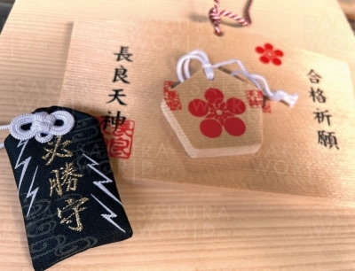 学問文化の守護神を祀る神社で合格祈願