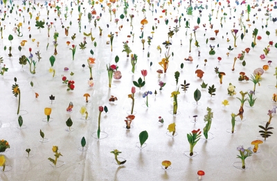 渡辺英司《名称の庭》 2014年 図鑑・針金・テープ 箱根彫刻の森美術館での展示風景