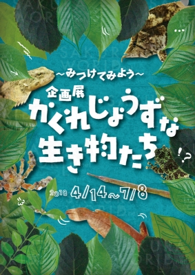 企画展「かくれじょうずな生き物たち」