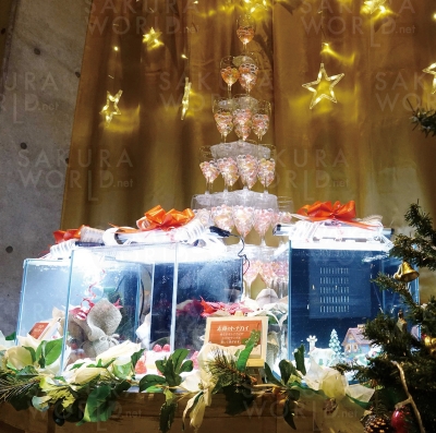 【クリスマス特別水槽】アクア・トトのクリスマス