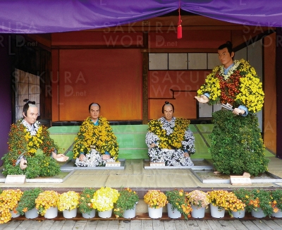 第46回「岐阜公園菊人形・菊花展」特別展示