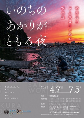 ぎふ長良川の鵜飼写真展「いのちのあかりがともる夜」