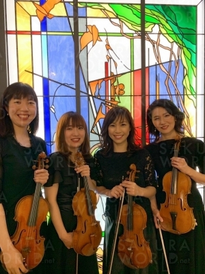 ヴァイオリン4重奏クアトロ・ヴィオリーノ