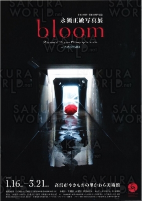 永瀬正敏写真展《bloom》