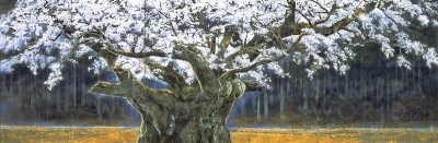 後藤純男《淡墨桜》 1987年