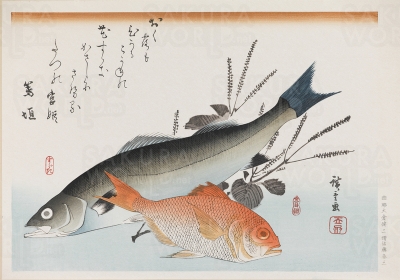 歌川広重 《魚づくし すずき金目鯛にしそ》