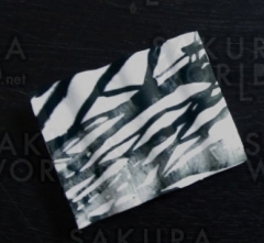 坂野有美／作品