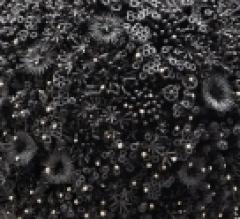 稲崎栄利子/作品