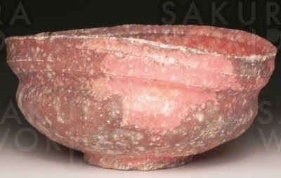 デレック・ラーセン／作品