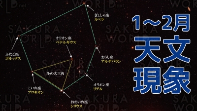 おうちで歴史と文化と科学に親しもう