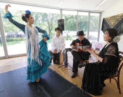 Flamenco Mi Sombrero