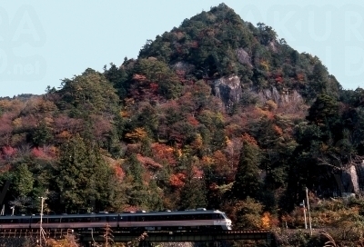 中山七里の見どころは、屏風岩、羅漢岩、孝子ヶ池、牙岩など、飛 騨川の浸食により形成された奇岩怪。