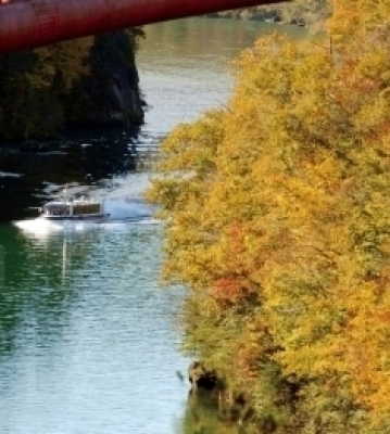 湖畔では黄色を中心とした紅葉を楽しむことができる。