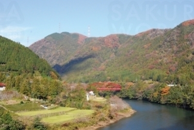 赤い揖斐峡大橋がダイナミック な紅葉風景のポイントとなっている。