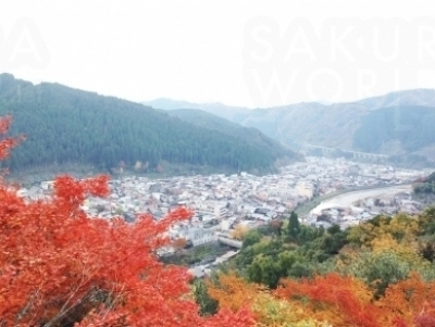 紅葉の背後には郡上のまち並みが広がる。