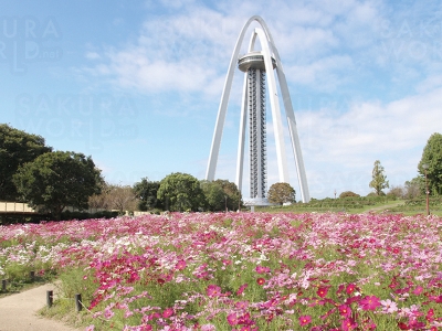 １３８タワーパーク