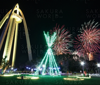 夜空を彩る華麗な花火♪