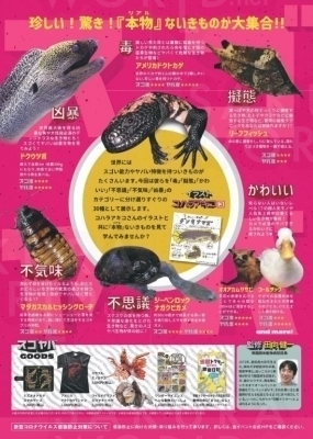 スゴくてヤバいいきもの展 ～スゴヤバ展～（公式サイトより）