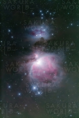 M42オリオン大星雲