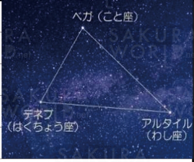 星のプロが教える夏の星座を探そう