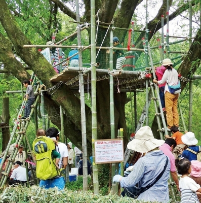 家族で竹林を楽しもう！「第23回竹の子祭り」