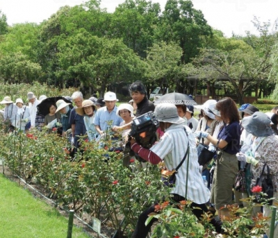 美しいバラを育てよう「バラの育成講習会」