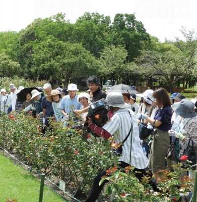 バラの魅力をもっと知ろう！「バラの育成講習会」