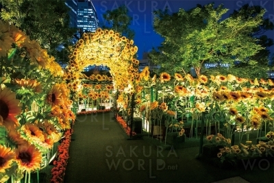 ひまわりトンネル