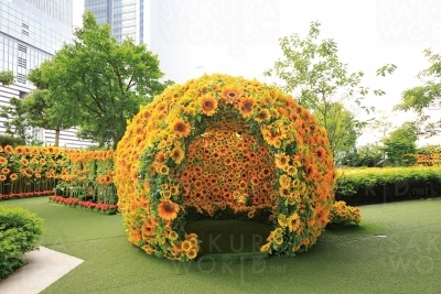 ひまわりドーム