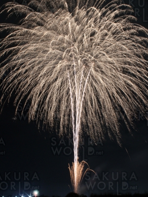 大垣の夜空に希望の花火を打ち上げたい