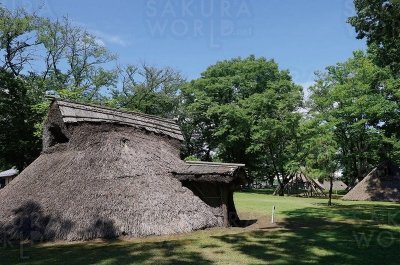 1.縄文時代の風景をイメージできる！