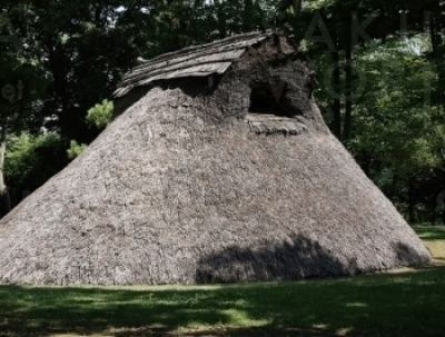 2.迫力のある復元住居。