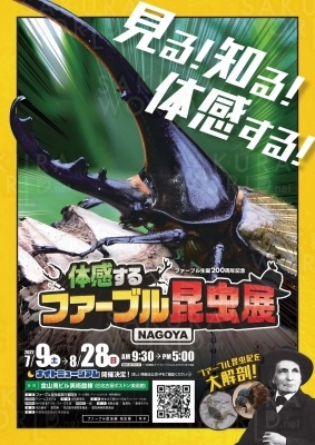 体感するファーブル昆虫展 NAGOYA