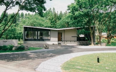 TEF TANIGUMI