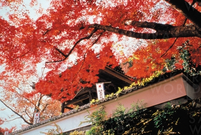 円興寺