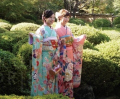 昨年の様子