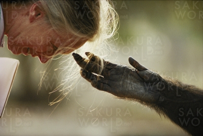 《動物の心が開いた瞬間》 マイケル・ニコルズ/ National Geographic Creative