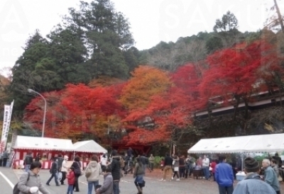 横蔵寺もみじまつり