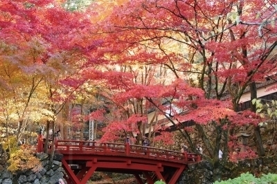 両界山「横蔵寺」