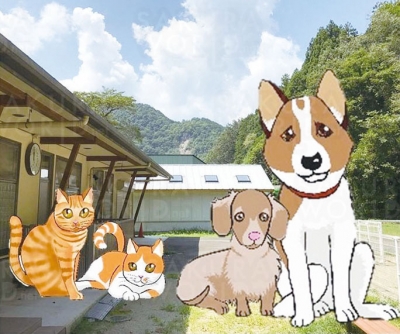 正しい飼育方法を学ぶ 犬猫の譲渡前講習会