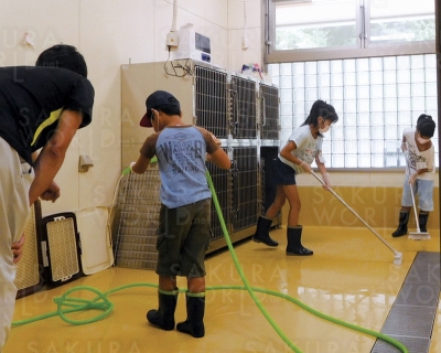 動物愛護センターのお仕事体験教室